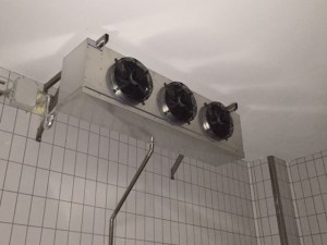 IMG 0230   