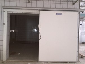 IMG 0232