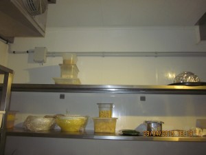 IMG 3681