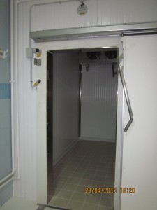 IMG 3685